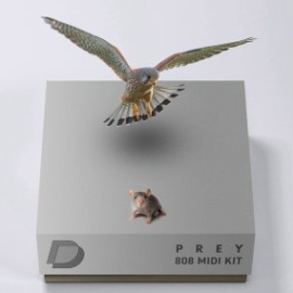 Drumvault Prey 808 MiDi Loop Kit WAV MiDi