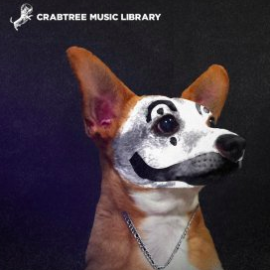 Crabtree Music Library Vol. 17 (Compositions And Stems) WAV