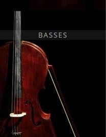 Auddict United Strings of Europe Basses KONTAKT