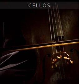 Auddict United Strings of Europe Cellos KONTAKT