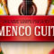 Flamenco Guitars