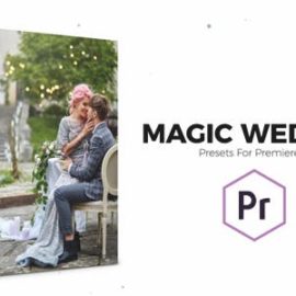 VideoHive Magic Wedding Color Correction Presets for Premiere Pro 23449210 Download