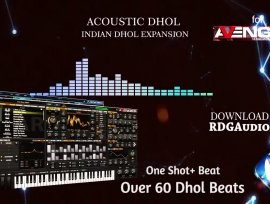 RDGAudio Acoustic Dhol VPS Avenger Expansion