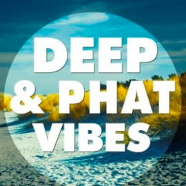 Big EDM Deep And Phat Vibes WAV MiDi SYLENTH1 Presets