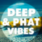 Big EDM Deep And Phat Vibes WAV MiDi SYLENTH1 Presets