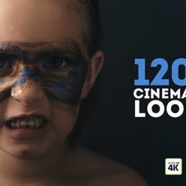 Videohive 1200 LUTs Color Presets Pack Cinematic Looks V7 23447931 Download