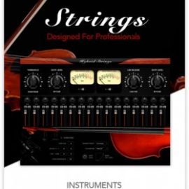 Muze Hybrid Strings KONTAKT