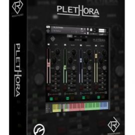 Rigid Audio Plethora KONTAKT