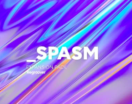 Accusonus Regroover Expansion Pack: SPASM