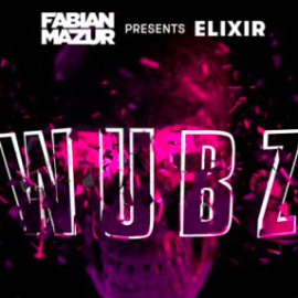 Splice Sounds Fabian Mazur Wubz WAV XFER RECORDS SERUM