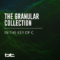 BT The Granular Collection In The Key Of C WAV