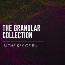 BT The Granular Collection In The Key Of Bb WAV