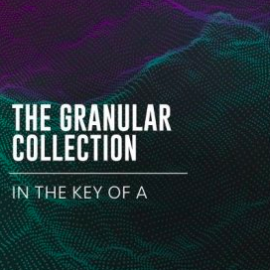 BT The Granular Collection In The Key Of A WAV