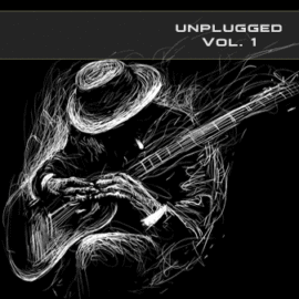 Soundsdivine Unplugged Vol.1 for Spectrasonics’s Omnisphere 2.5