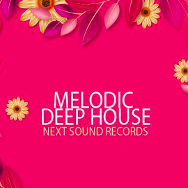 Next Sound Records Melodic Deep House WAV MIDI SPIRE SERUM SYLENTH1