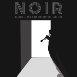 Sonokinetic Noir v1.2.0 KONTAKT