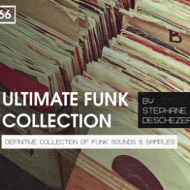 Bingoshakerz Ultimate Funk Collection by Stephane Deschezeaux WAV MiDi REX