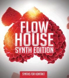 8Dio 8DM Flow House Synth Edition KONTAKT