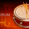 IK Multimedia MODO DRUM v1.1.0 [WIN-MAC]