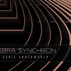 Sonic Underworld Zebra Synchron For U-HE ZEBRA 2