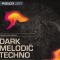 Producer Loops Dark Melodic Techno Vol 1 WAV