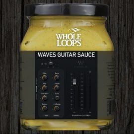 Whole Loops WAVES GUITAR STUDIORACK