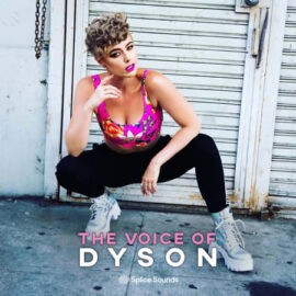 Splice The Voice of DYSON WAV