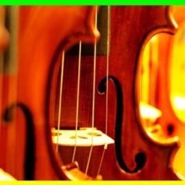 Violin Beginner to Advanced Vibrato VIBRATO MASTER COURSE Free Download