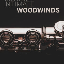 8dio Intimate Studio Woodwinds KONTAKT