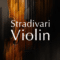 Native Instruments Stradivari Violin v1.1.1 KONTAKT