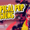 Singomakers – Tropical Pop Sessions (Wav)