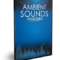 Sounds Best The Big Ambient Sounds Collection 2 WAV