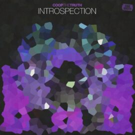 Coop The Truth – INTROSPECTION (One Shots) Free Download