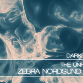 The Unfinished ZEBRA NORDSUND DUSK DARK EDITION Free Download