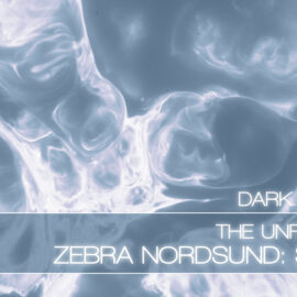 The Unfinished ZEBRA NORDSUND SNOW DARK EDITION Free Download