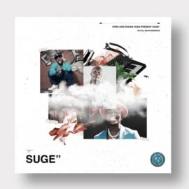 Ocean Veau and Fiori Suge XP + Drum Kit WAV ElectraX Presets