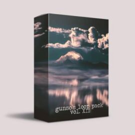 Gunso’s Loop Pack Vol. XII WAV