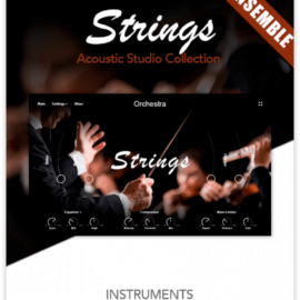 Muze Strings Ensemble KONTAKT