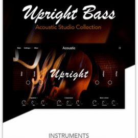 Muze Upright Bass KONTAKT