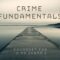 Whatabaudio Crime Fundamentals For U-HE ZEBRA 2