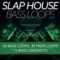 Baltic Audio Slap House Bass Loops WAV MIDI