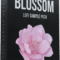 Cymatics Blossom Lofi Sample Pack WAV