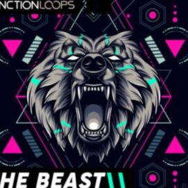 Function Loops The Beast Riddim Dubstep MULTiFORMAT