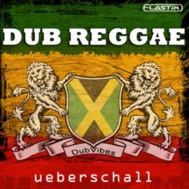 Ueberschall Dub Reggae ELASTIK