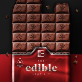 Brandon Chapa Edible Loop Kit WAV MIDI