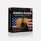 IK Multimedia American Acoustic for SampleTank 3/4