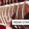 Pulsed Records World Series Indian Sitar WAV MIDI