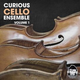 Vanilla Groove Studios Curious Cello Ensemble Vol 1 WAV