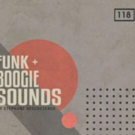 Bingoshakerz Funk and Boogie Sounds WAV-