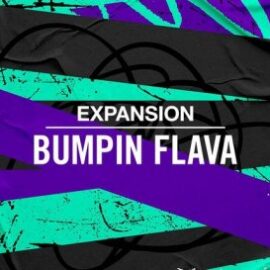 Native Instruments Expansion: Bumpin Flava [WiN OSX]